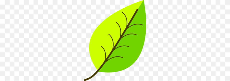 Simple Clipart, Leaf, Plant, Herbal, Herbs Free Transparent Png