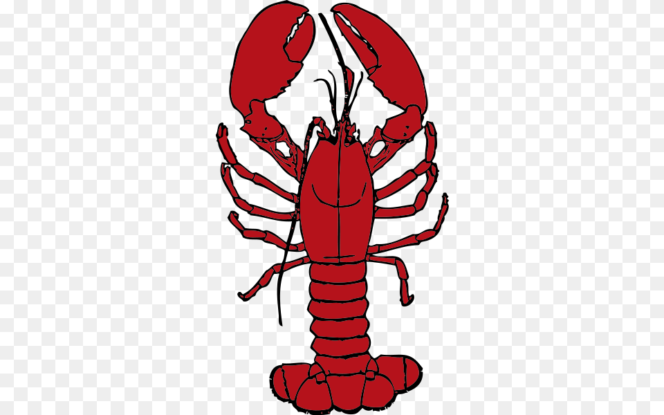 Simple Clipart Lobster, Animal, Food, Invertebrate, Sea Life Png Image