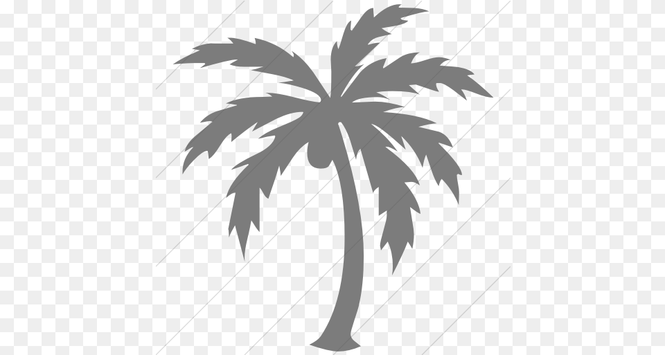Simple Dark Gray Classica Palm Tree Icon Black Palm Tree Icon Transparent, Palm Tree, Plant, Stencil, Leaf Free Png