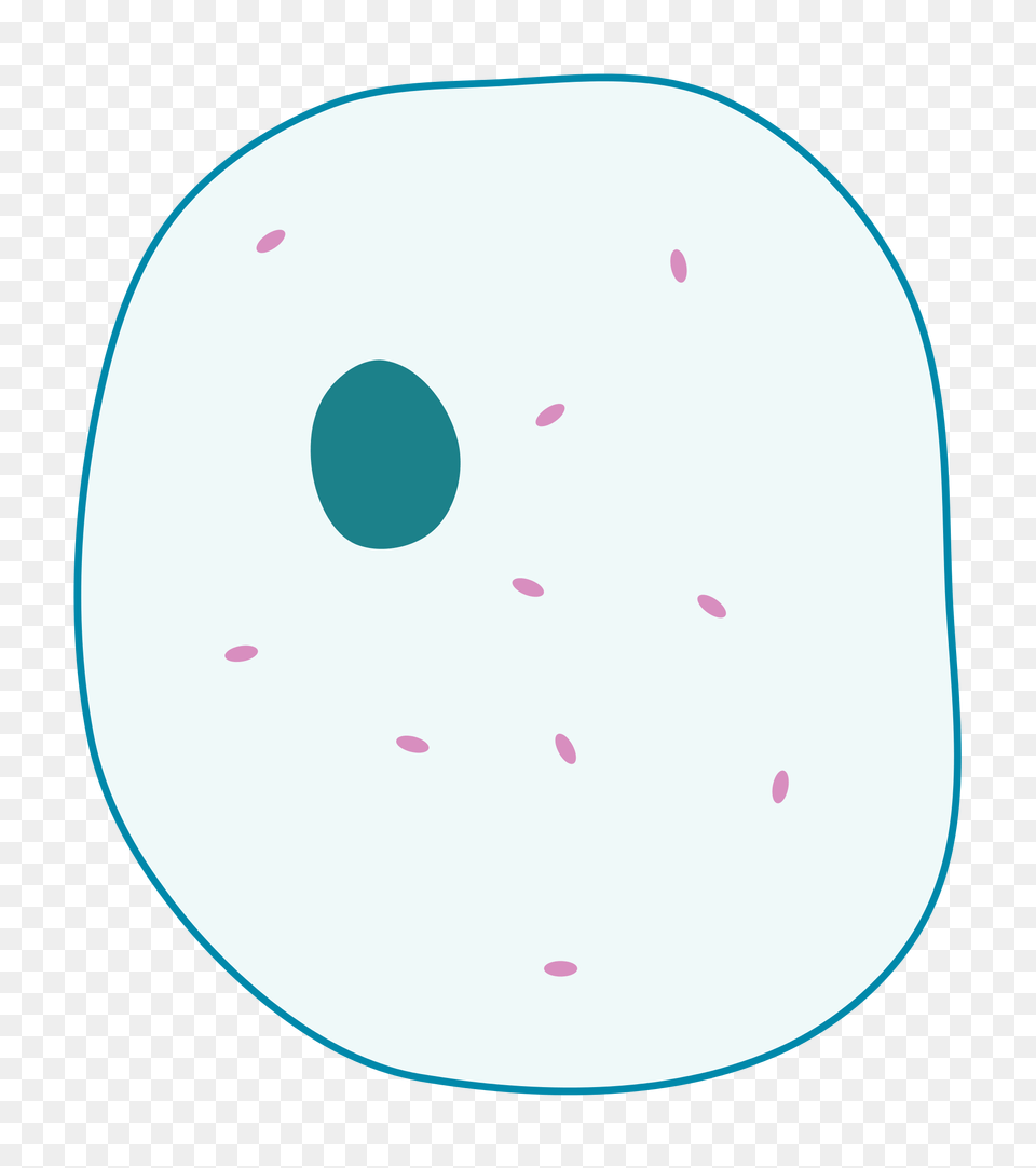 Simple Diagram Of Animal Cell, Astronomy, Moon, Nature, Night Free Transparent Png