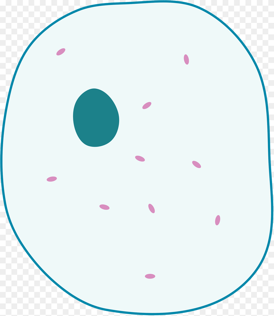 Simple Diagram Of Animal Cell Clipart, Disk Free Png Download