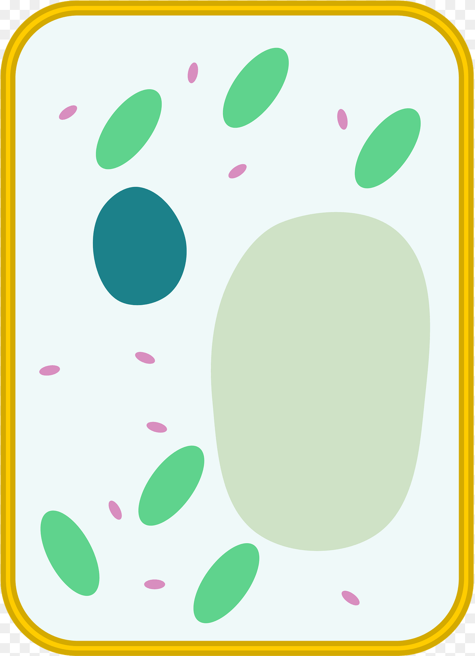 Simple Diagram Of Plant Cell Clipart, Pattern, Paper Png