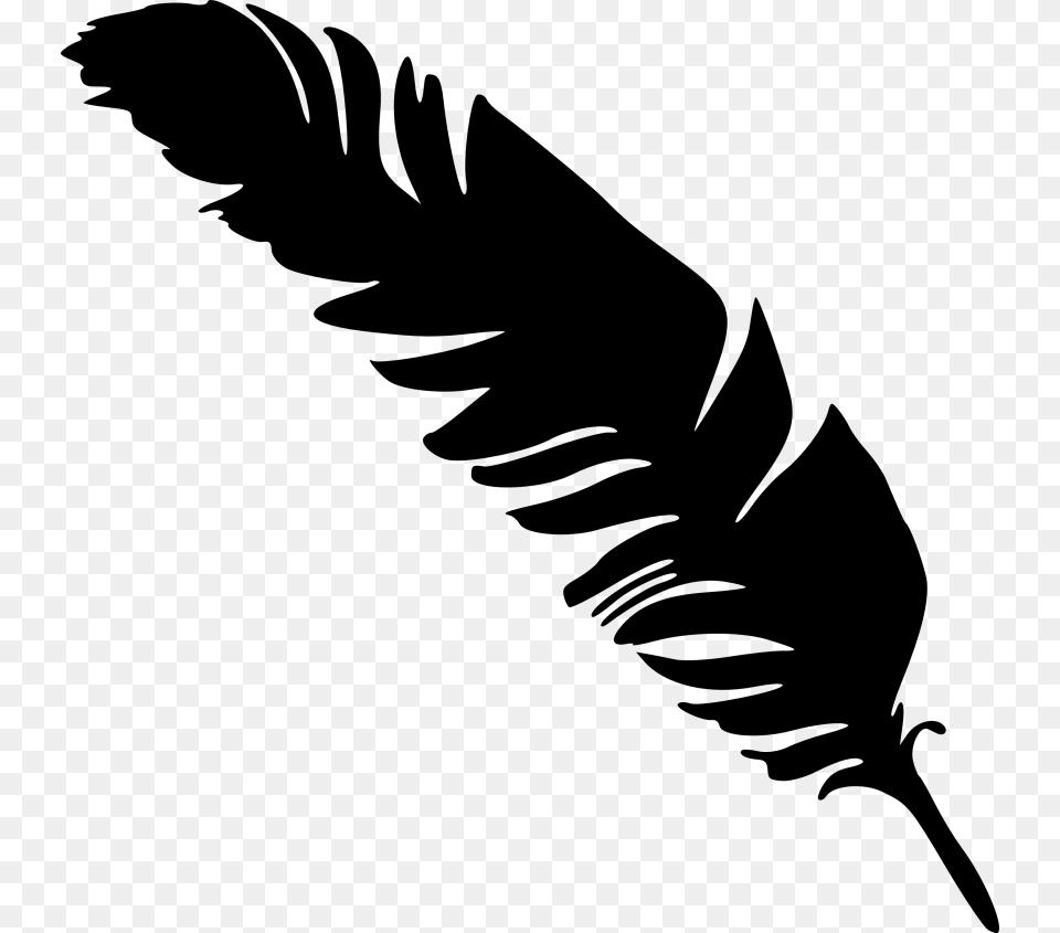 Simple Feather Silhouette, Plant, Reed, Bottle Png Image