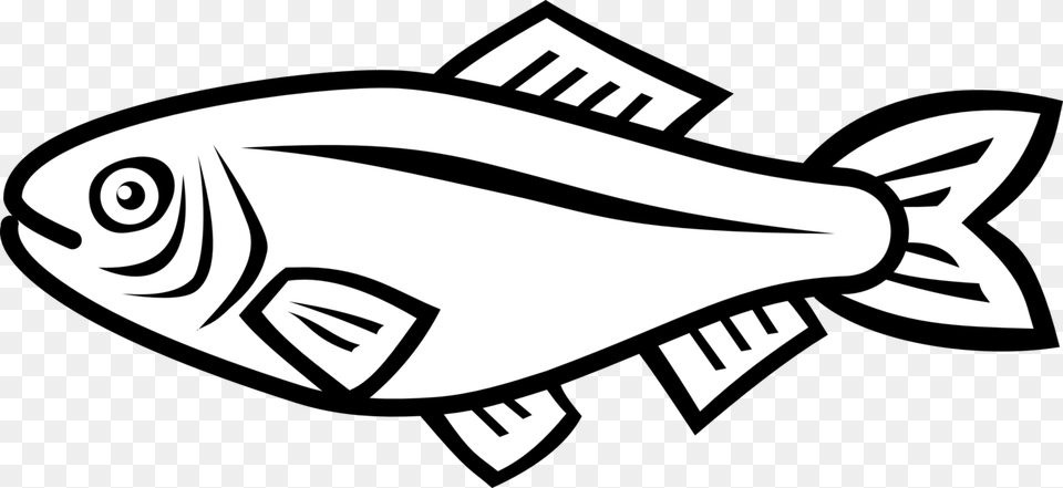 Simple Fish Vector, Animal, Sea Life, Tuna, Shark Free Png Download