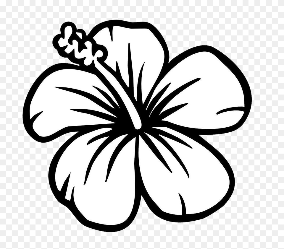 Simple Flower Clipart Black And White Hibiscus Flower Coloring Page, Plant, Person Free Transparent Png