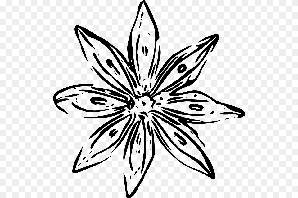 Simple Flower Designs Black And White Outline Flowers Vector, Stencil, Art, Floral Design, Graphics Png
