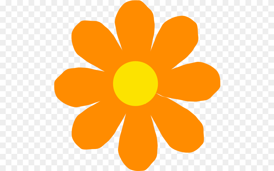 Simple Flower Orange Flower Orange Spring Flower Bright Flower Clip Art, Anemone, Petal, Plant, Daisy Free Png Download