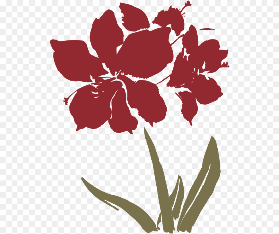 Simple Flower Transparent Clipart Simple Flower, Petal, Plant, Geranium, Person Png