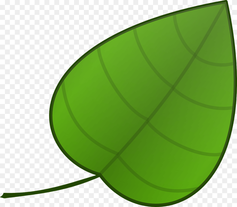 Simple Green Leaf Template, Plant, Disk Free Png Download