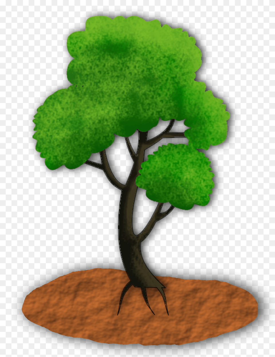 Simple Green Tree Clipart, Plant, Potted Plant, Animal, Invertebrate Free Png