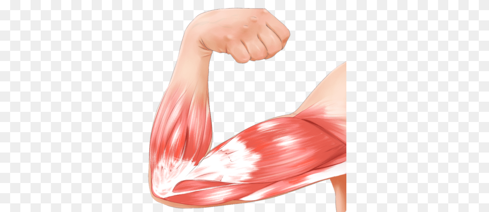 Simple Hacks To Sculpt Your Arm Muscles Manspread, Person, Body Part, Hand, Finger Free Transparent Png