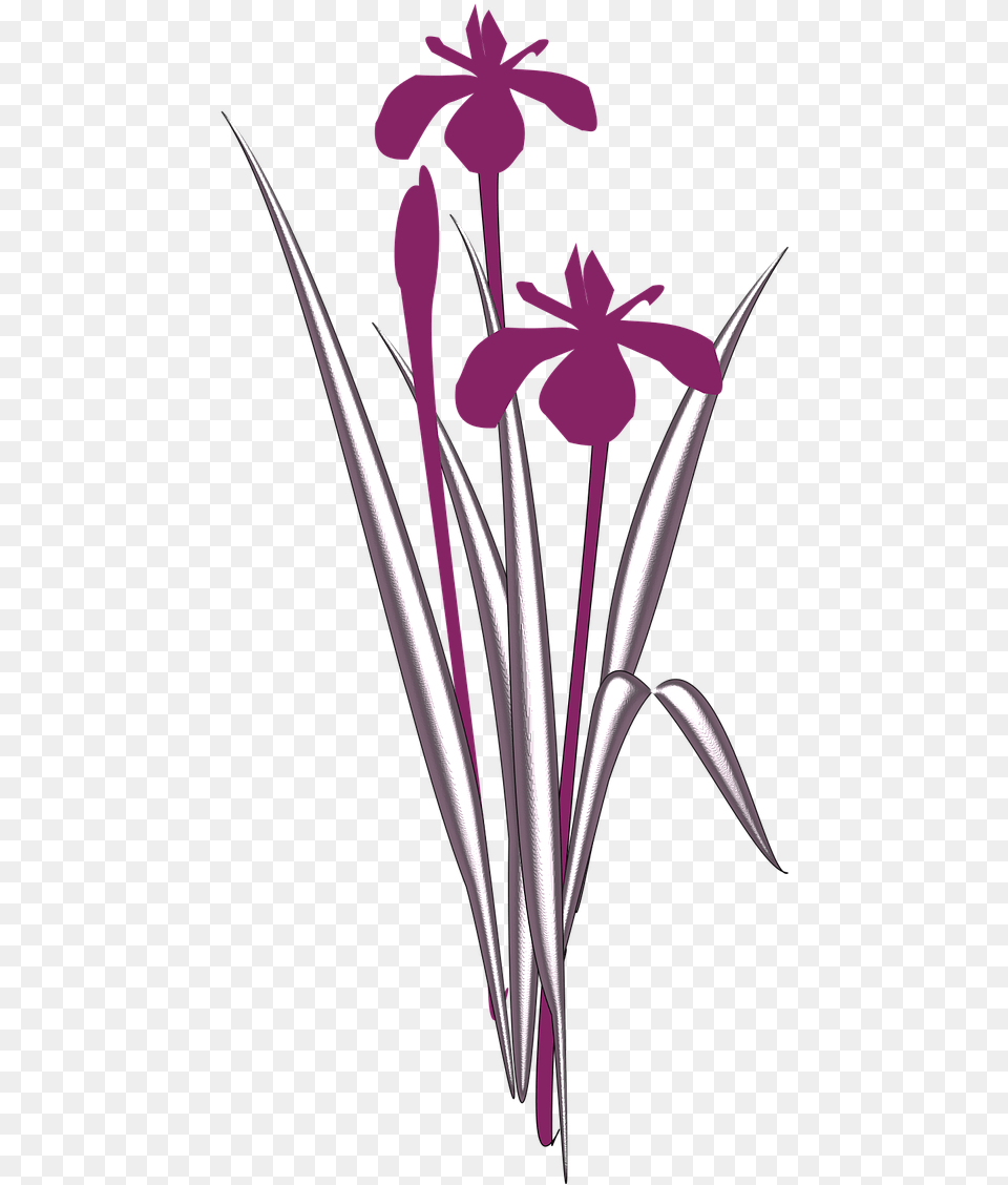 Simple Iris Flower Clipart, Plant, Petal, Art, Pattern Free Png