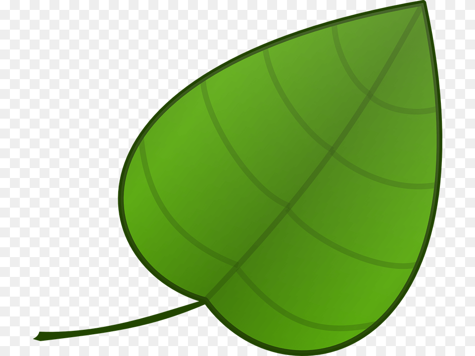 Simple Leaf Cartoon, Plant, Green, Disk Free Png