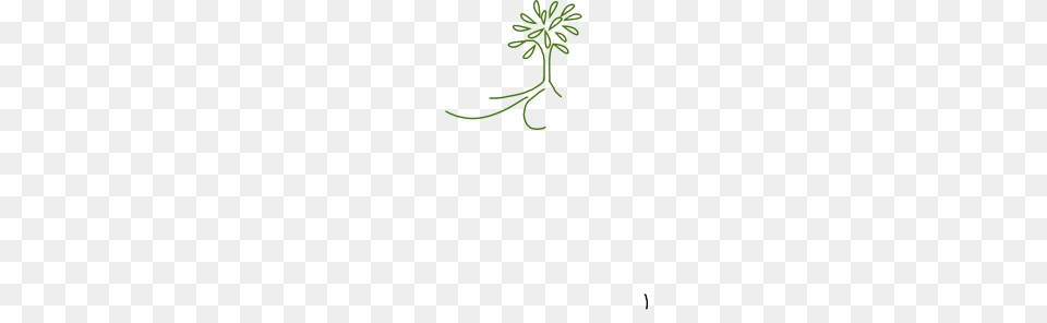 Simple Leafy Tree Green With Roots Clip Arts For Web, Art, Floral Design, Graphics, Leaf Free Png