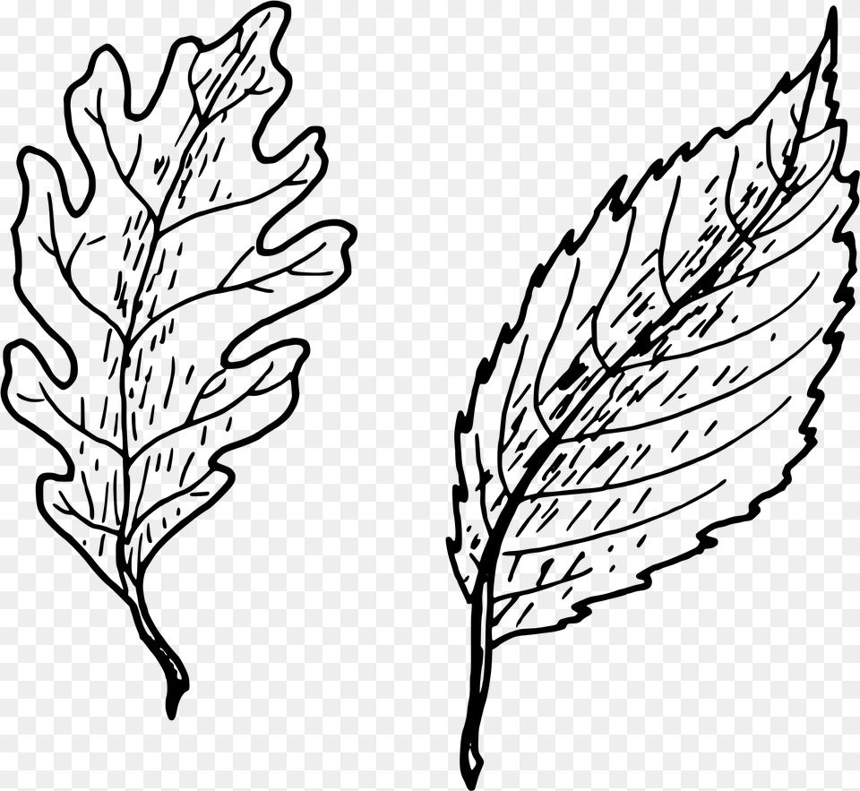 Simple Leaves Clip Arts Simple Hand Drawn Leaf Drawing, Gray Free Png Download