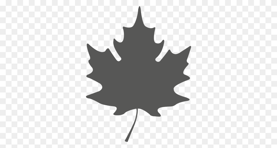 Simple Maple Leave Silhouette, Leaf, Maple Leaf, Plant, Tree Free Transparent Png