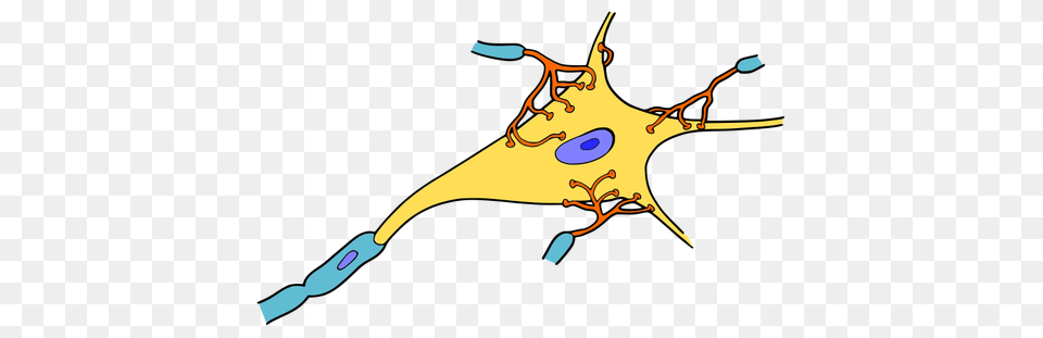 Simple Neuron Vector Drawing Free Png