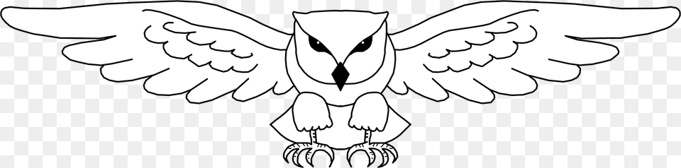 Simple Owl Line Drawing Owl Open Wings Drawing, Face, Head, Person Free Transparent Png