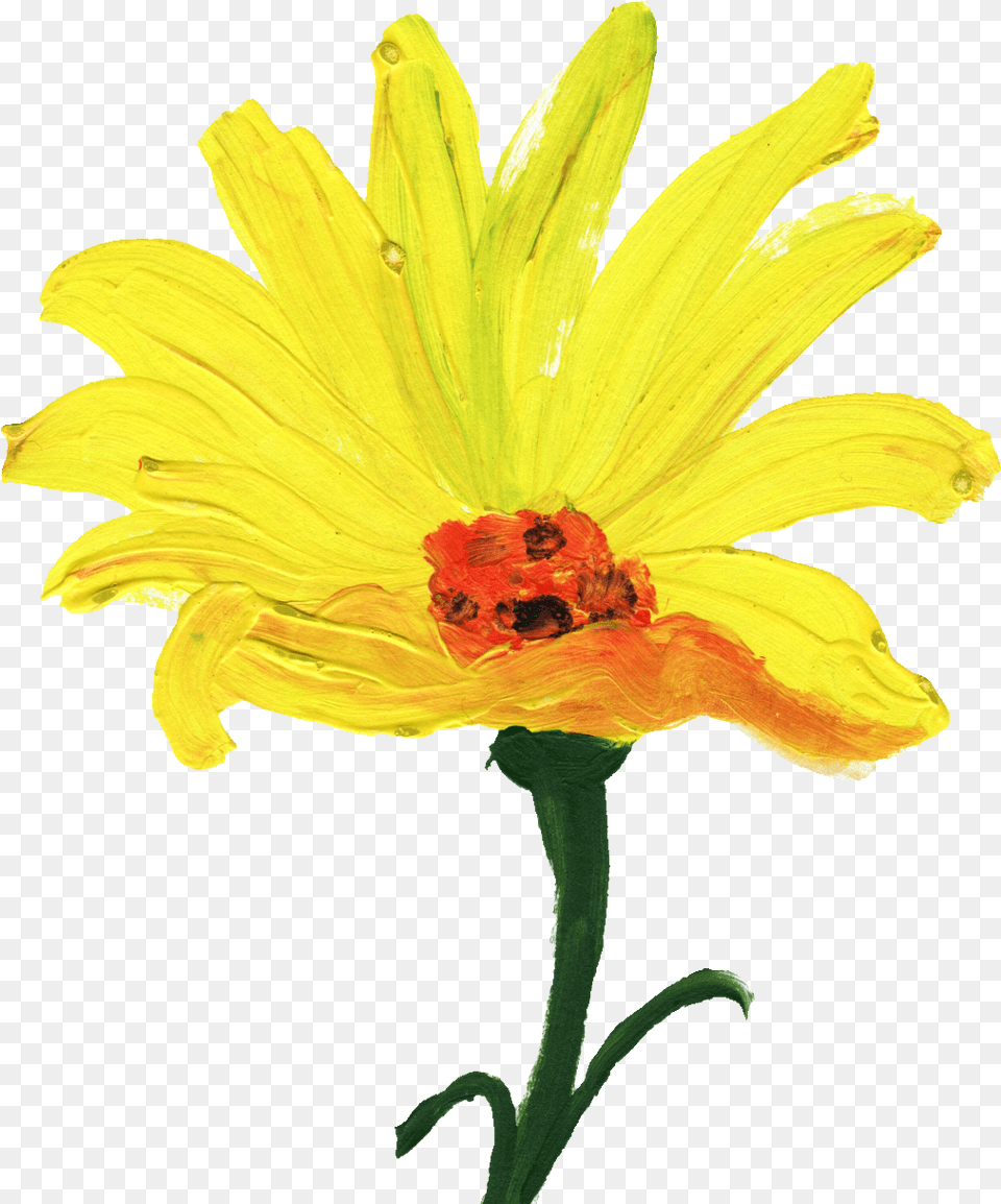 Simple Painted Flower Transparent Onlygfxcom Transparent Yellow Painted Flowers, Daisy, Petal, Plant, Pollen Free Png