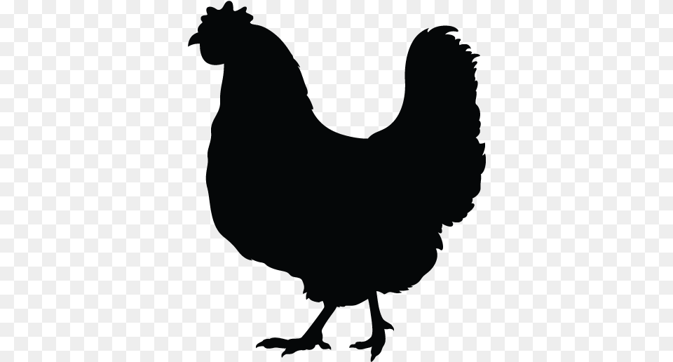 Simple Rooster Silhouette Simple Chicken Black And White Clipart, Animal, Bird, Fowl, Hen Png Image