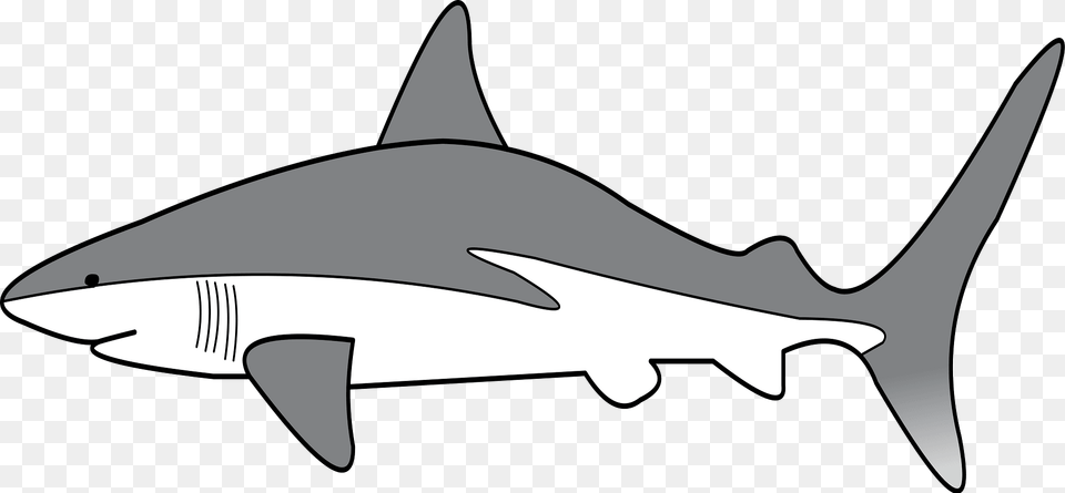 Simple Shark Black And White Clipart, Animal, Fish, Sea Life, Great White Shark Free Png