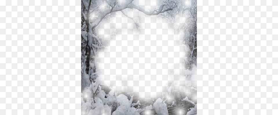 Simple Snow Forest Background Winter Forest Frame Forest Wallpaper, Nature, Outdoors, Ice, Art Free Png