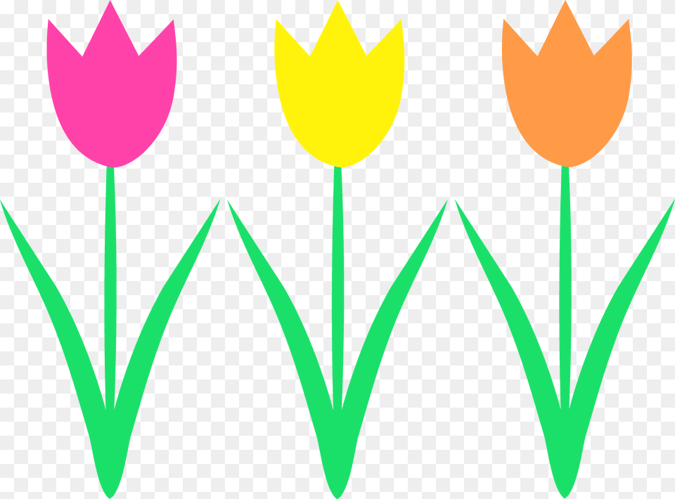 Simple Spring Cliparts Hello Kitty Clipart, Flower, Plant, Tulip, Petal Free Png