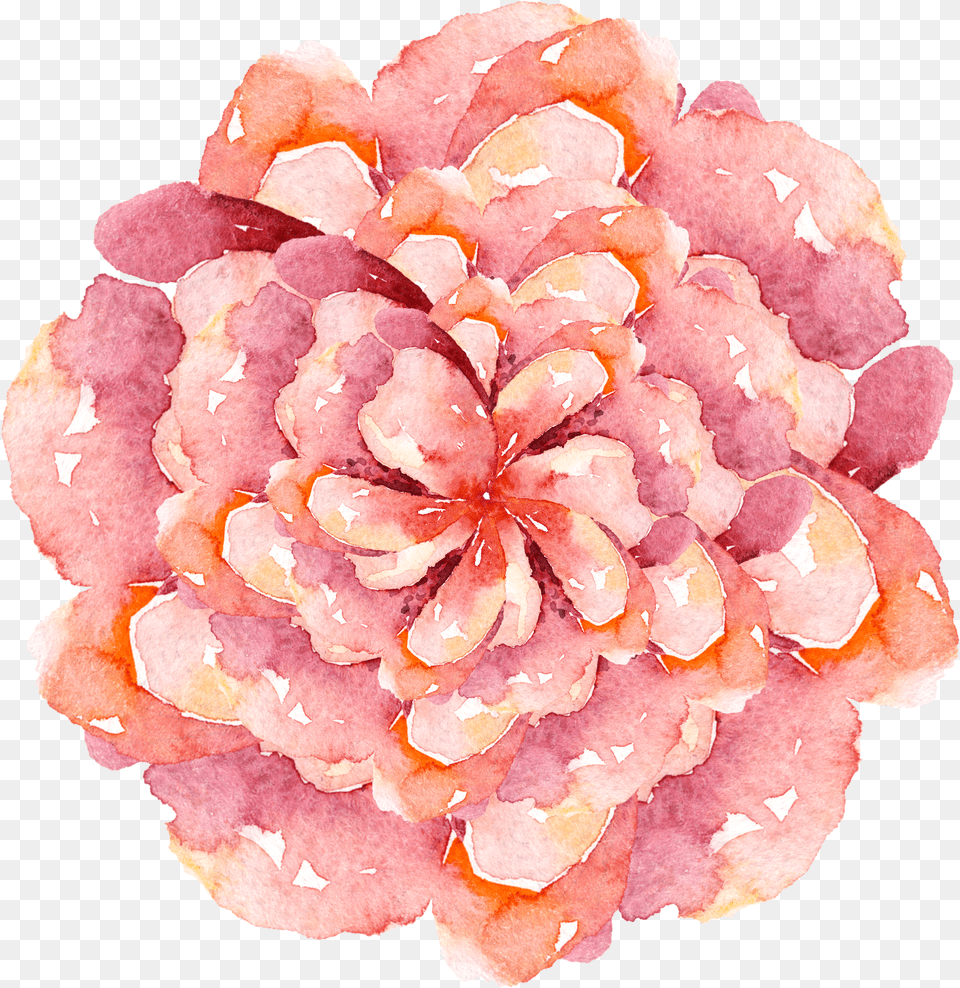 Simple Stylish Watercolor Flower Decoration And Stick Candy, Geranium, Petal, Plant, Rose Free Transparent Png