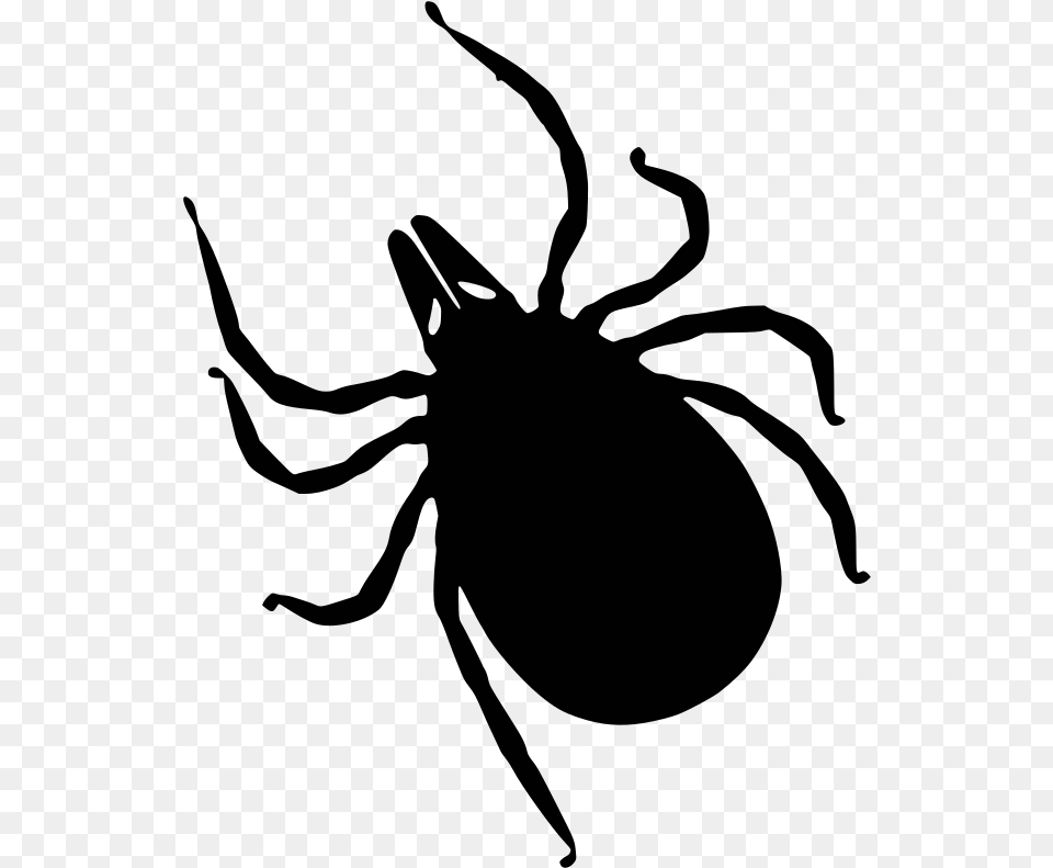 Simple Tick Silhouette Bug Transparent Tick Clipart, Animal, Invertebrate, Spider Png