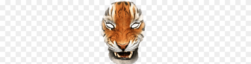 Simple Tiger Mask, Animal, Mammal, Wildlife Free Png Download