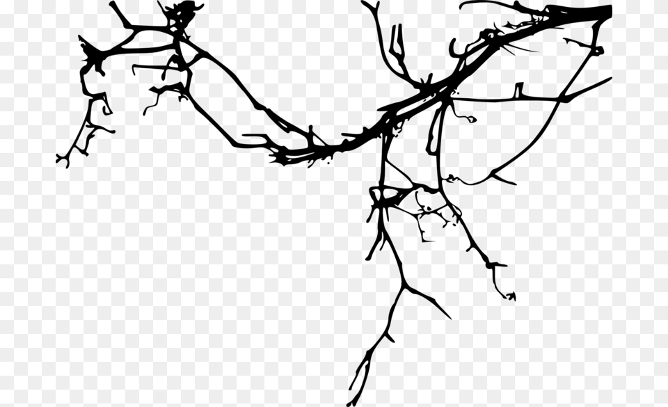 Simple Tree Branch, Gray Free Png Download