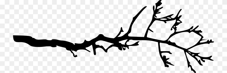 Simple Tree Branch, Plant, Leaf, Silhouette, Animal Free Transparent Png