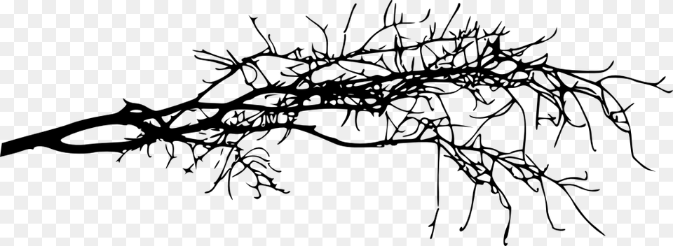 Simple Tree Branch Images Transparent Tree Branch Silhouette Transparent, Gray Png