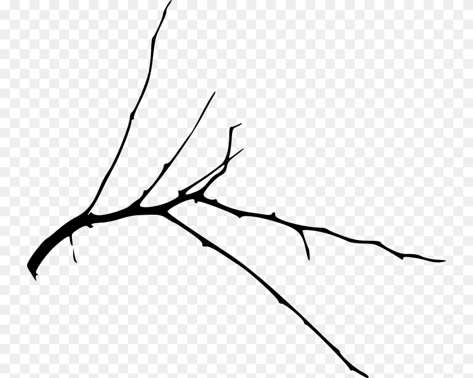 Simple Tree Branch Images Twig, Leaf, Plant, Bow, Weapon Png Image