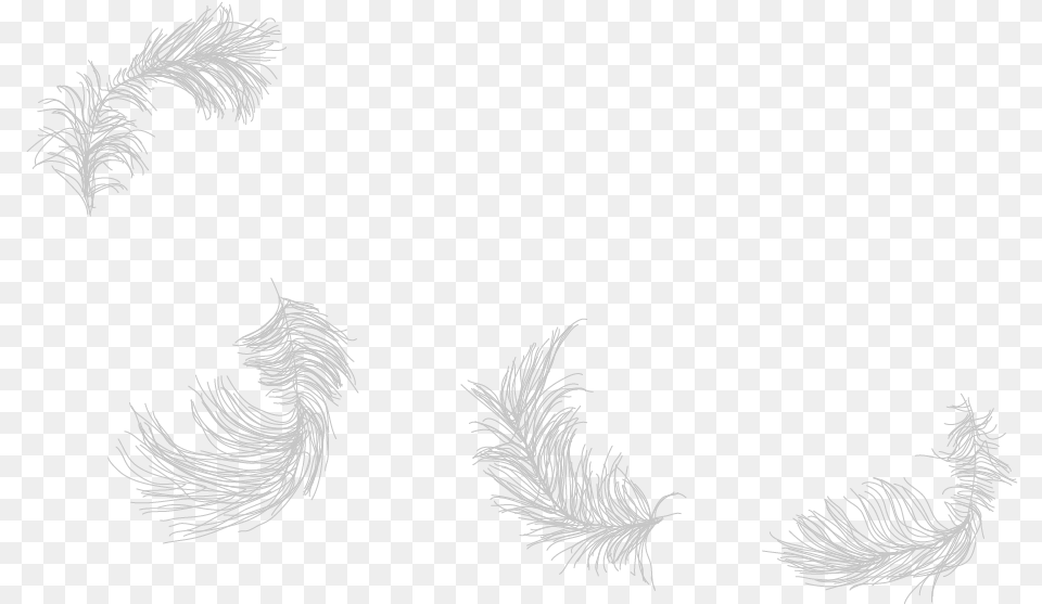 Simple Tribal Angel Wings Drawing, Art, Plant, Text Free Png