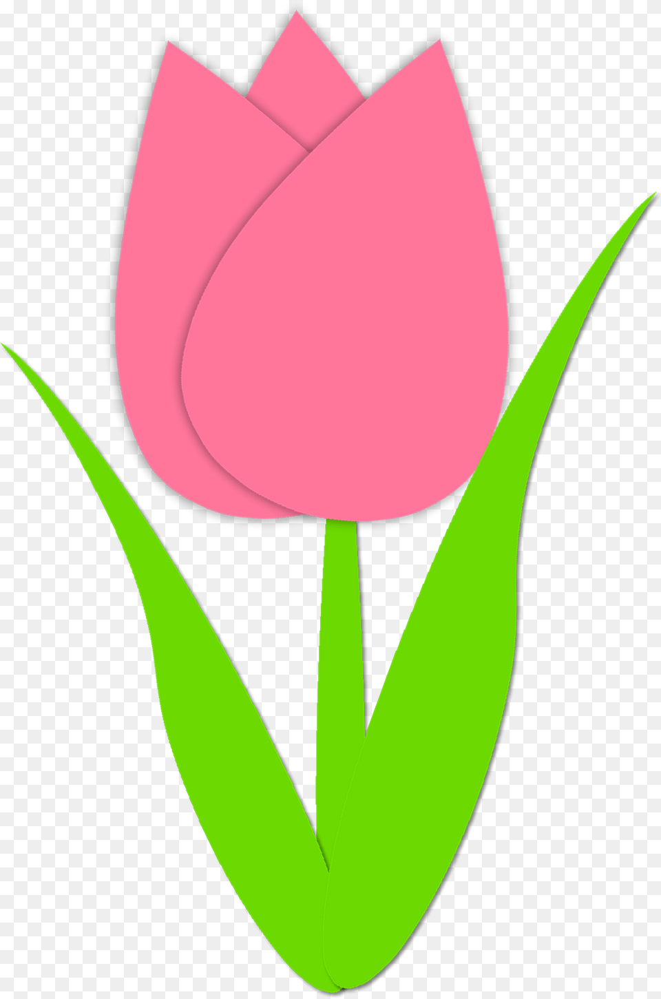 Simple Tulip Outline Simple Tulip Outline Spring Tulips, Flower, Plant, Rose, Petal Free Png Download