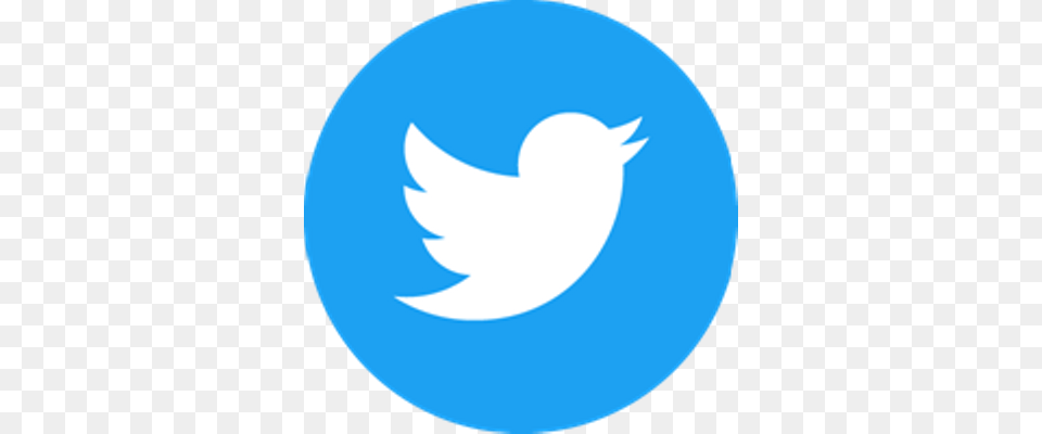 Simple Twitter Logo In Circle Transparent Png Image