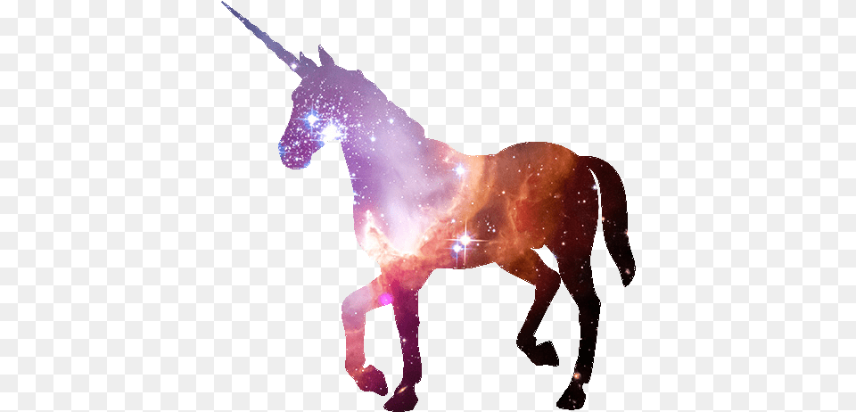 Simple Unicorn Silhouette, Animal, Horse, Mammal, Person Png Image