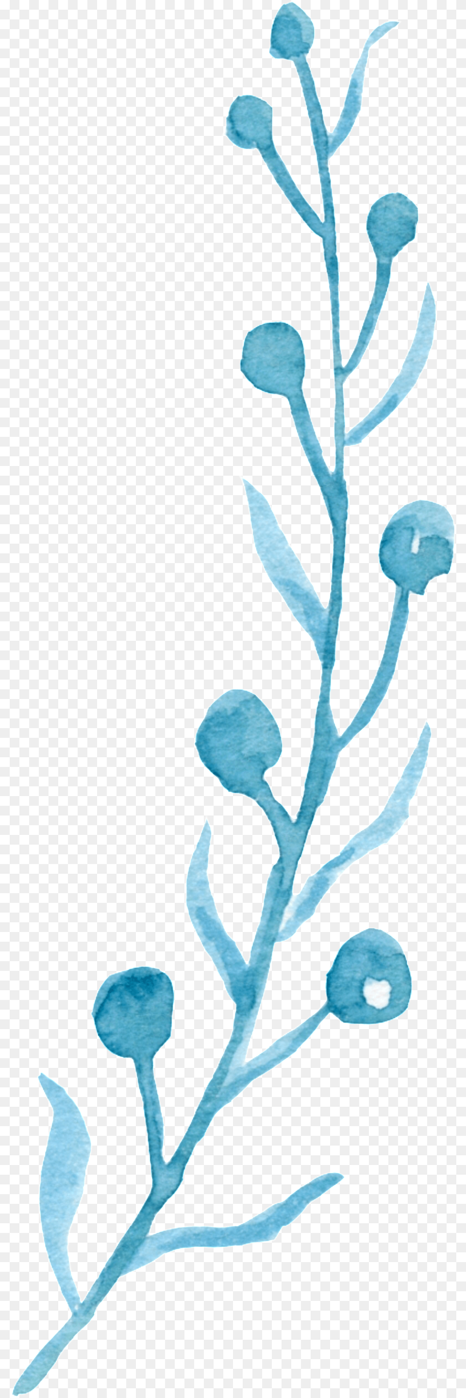 Simple Watercolor Flower Cartoon Drawing, Ice, Plant, Leaf, Art Free Transparent Png