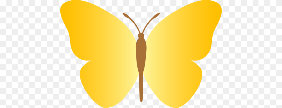 Simple Yellow Butterfly Clipart Clip Art, Animal, Insect, Invertebrate, Moth Png Image