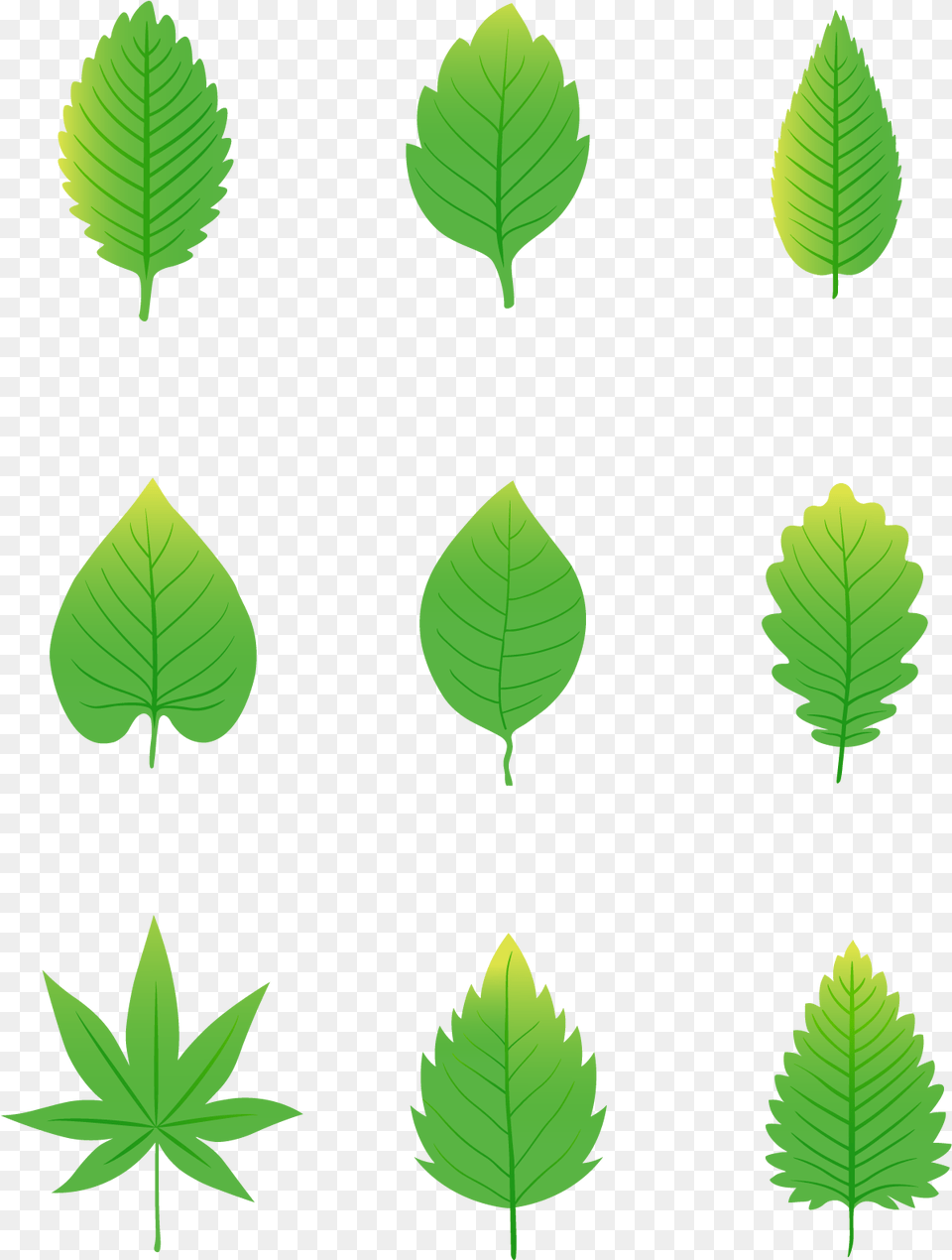 Simplicity Cartoon Green Leaves Elements And Vector Clip Art, Leaf, Plant, Tree, Vegetation Free Transparent Png