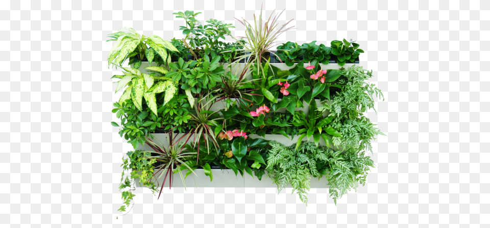 Simply Farm Modular Vertical Garden Hydrofalls Vertical Garden Plants, Jar, Plant, Planter, Potted Plant Png