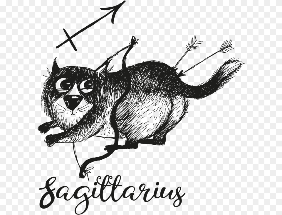 Simply Sagittarius Men S Printed T Shirt Illustration, Animal, Cat, Mammal, Pet Free Transparent Png