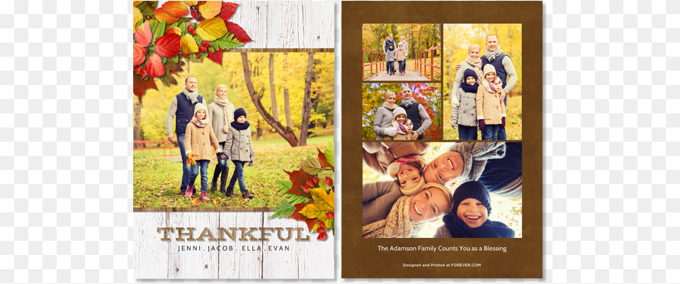 Simply Thankful Card Picture Frame, Head, Leaf, Plant, Portrait Free Png Download