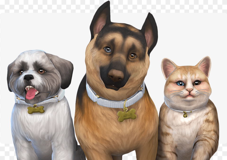 Sims 4 Eyes Pets, Animal, Canine, Dog, Mammal Free Png Download