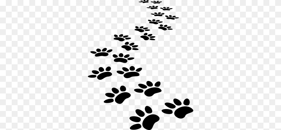 Simulate The Colour Of The Backing Dog Paw Print Trail, Gray Free Transparent Png