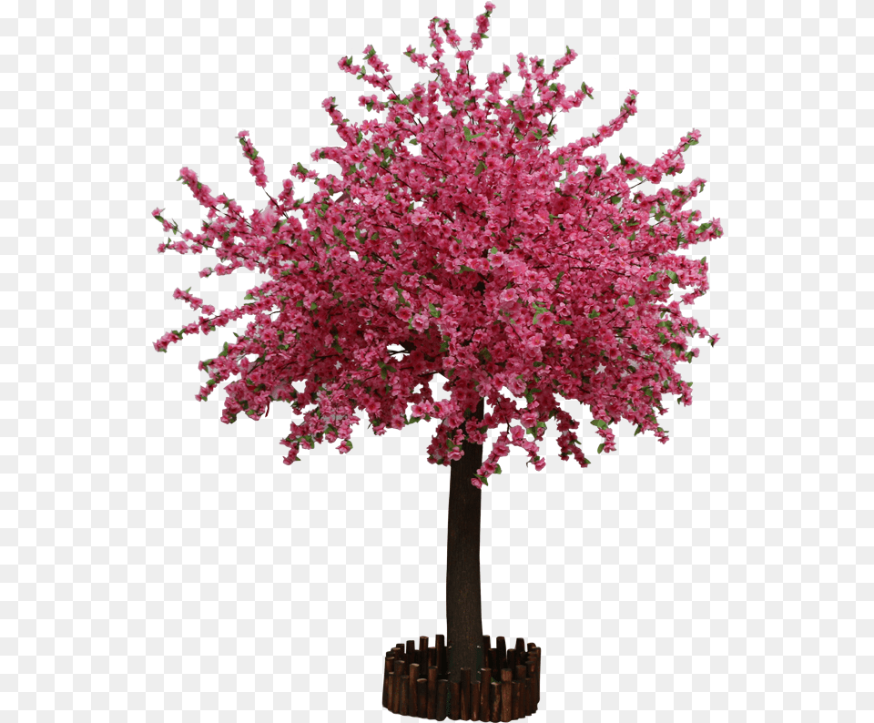 Simulation Peach Tree Plum Large Plant New Mexico Maple, Flower, Cherry Blossom, Flower Arrangement Png