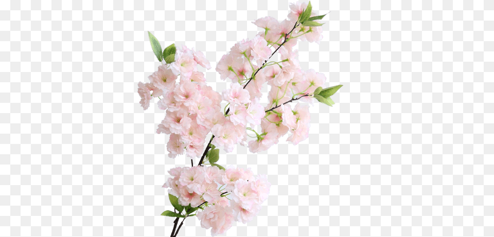 Simulation Sakura Tree Wedding Decoration Balcony Pipe Show Nhnh Hoa Anh O, Flower, Plant, Carnation, Cherry Blossom Free Png