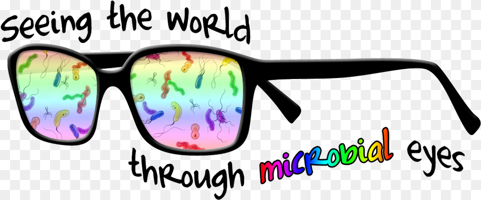 Since My Title Is Quotteaching Students To See Through Camp Shira, Accessories, Glasses, Sunglasses Png