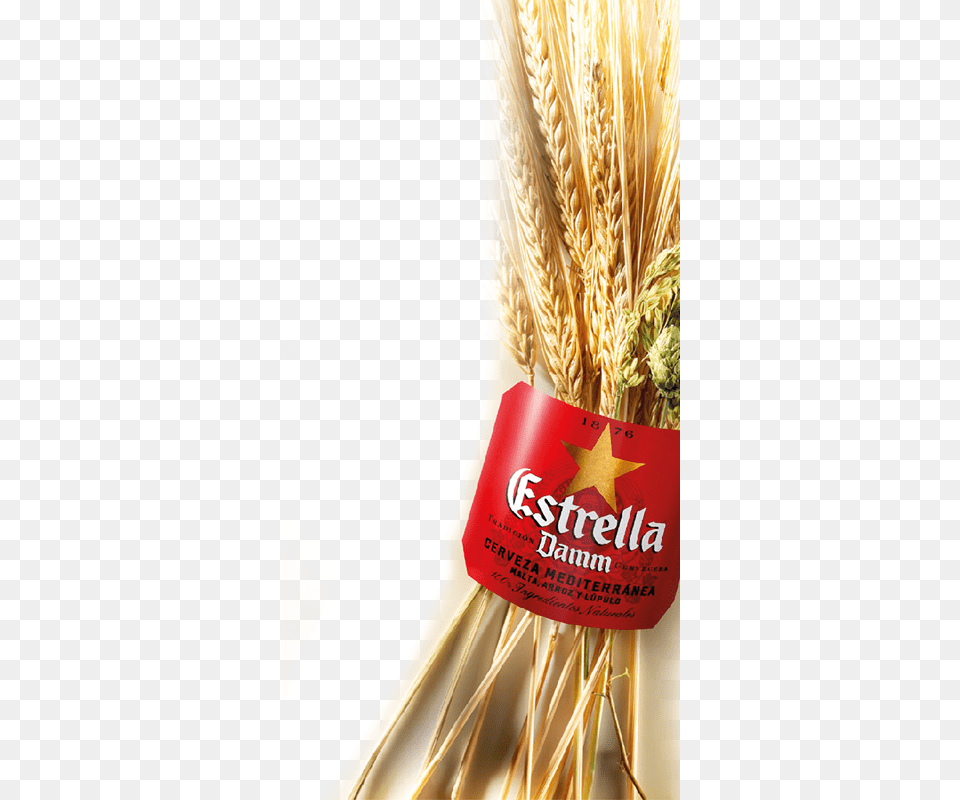 Since Then Estrella Damm Has Been Brewed Using The Estrella Damm, Food, Grain, Produce, Wheat Png Image